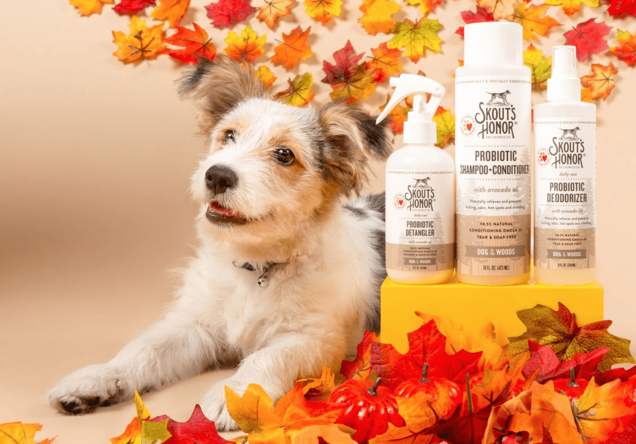 Autumn Skin Care Tips Skout s Honor