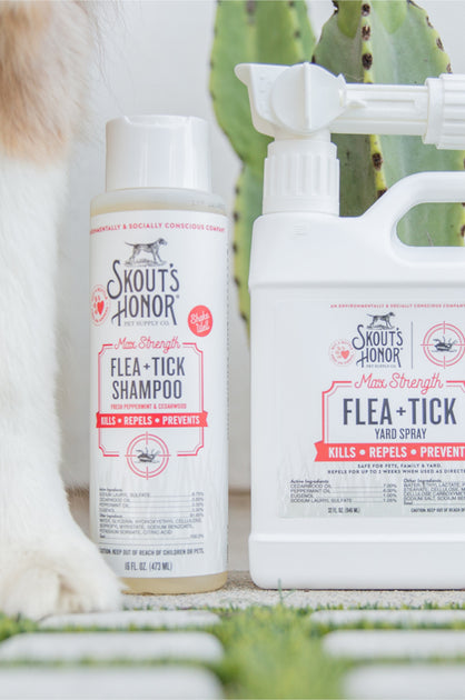 Max Strength Flea + Tick Yard Spray