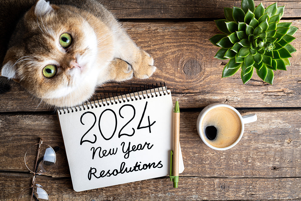 If Your Pet Had 2024 New Year Resolutions Skout S Honor   NYE 2024 Blog 