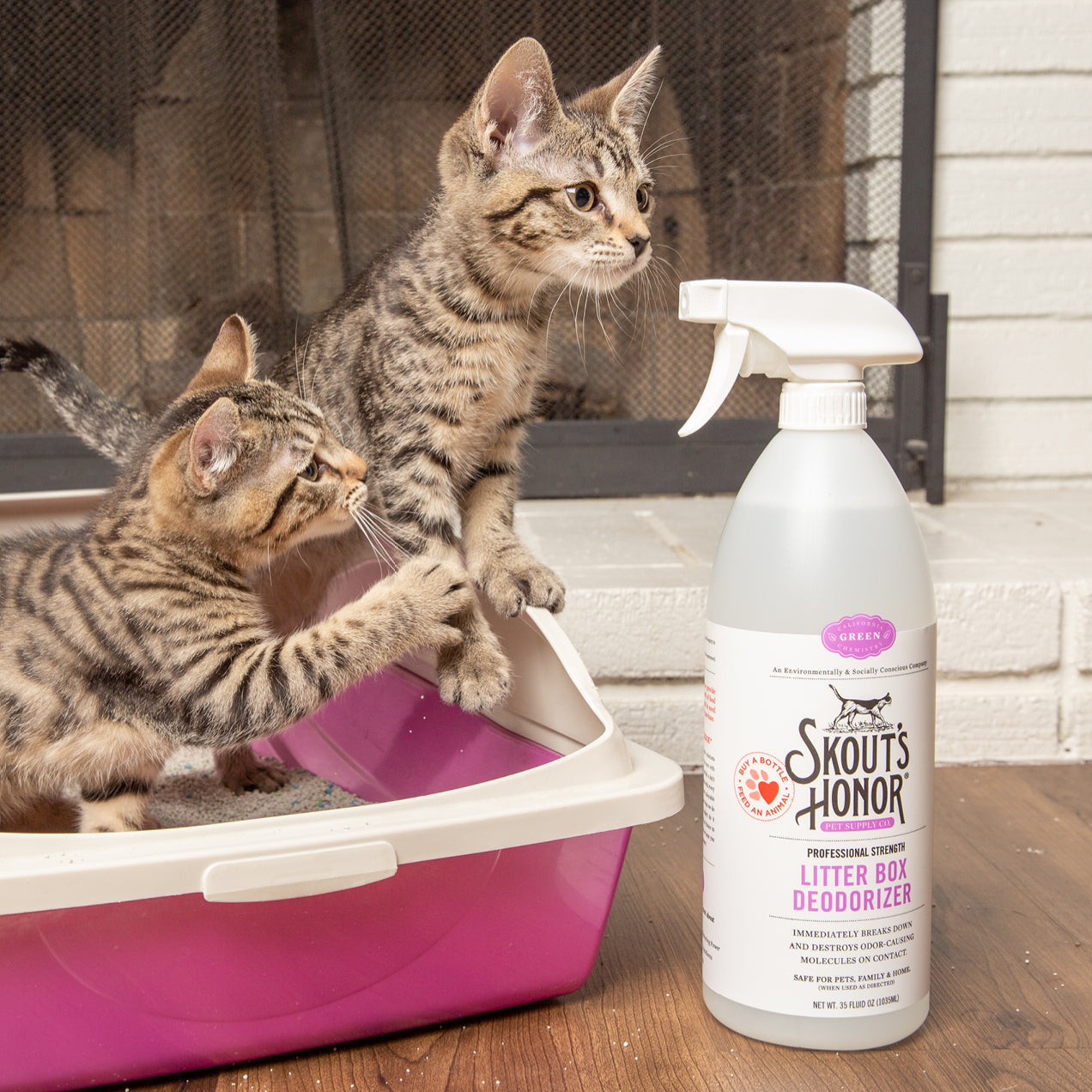 Eliminate Litter Box Odor Skout s Honor