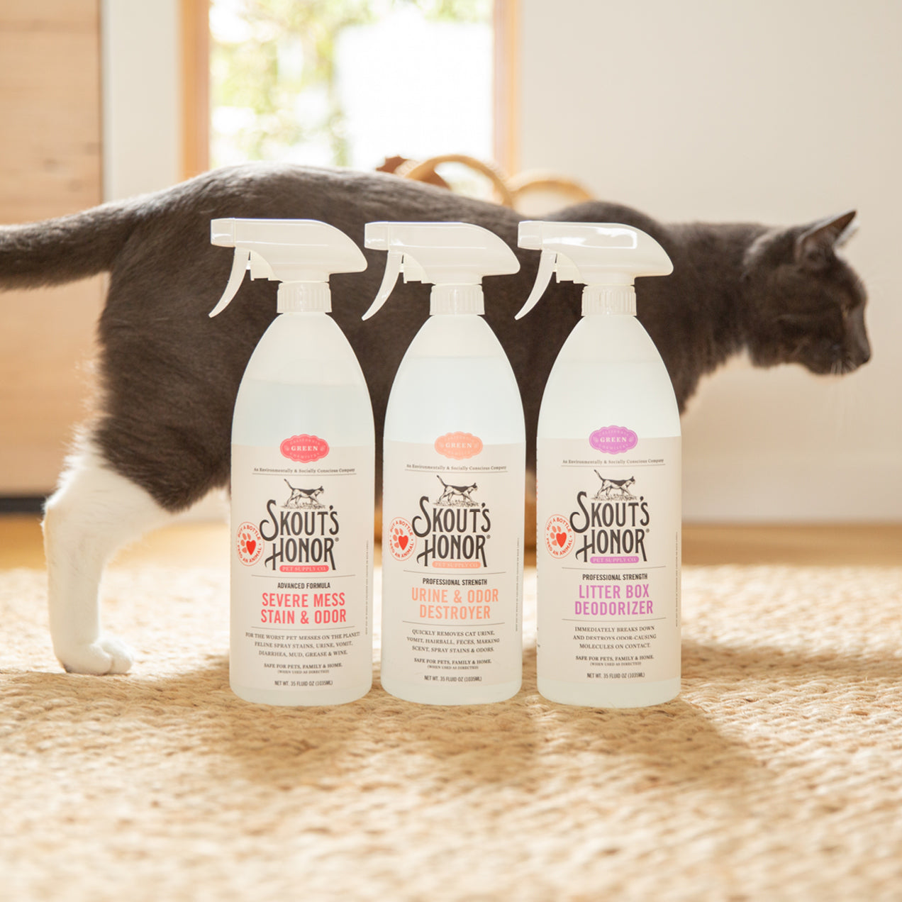 Cat urine hot sale spray