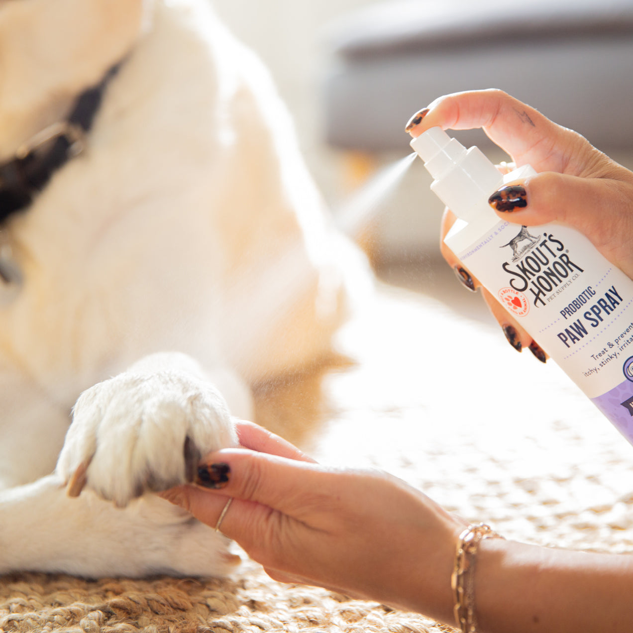 Dog shop paw spray